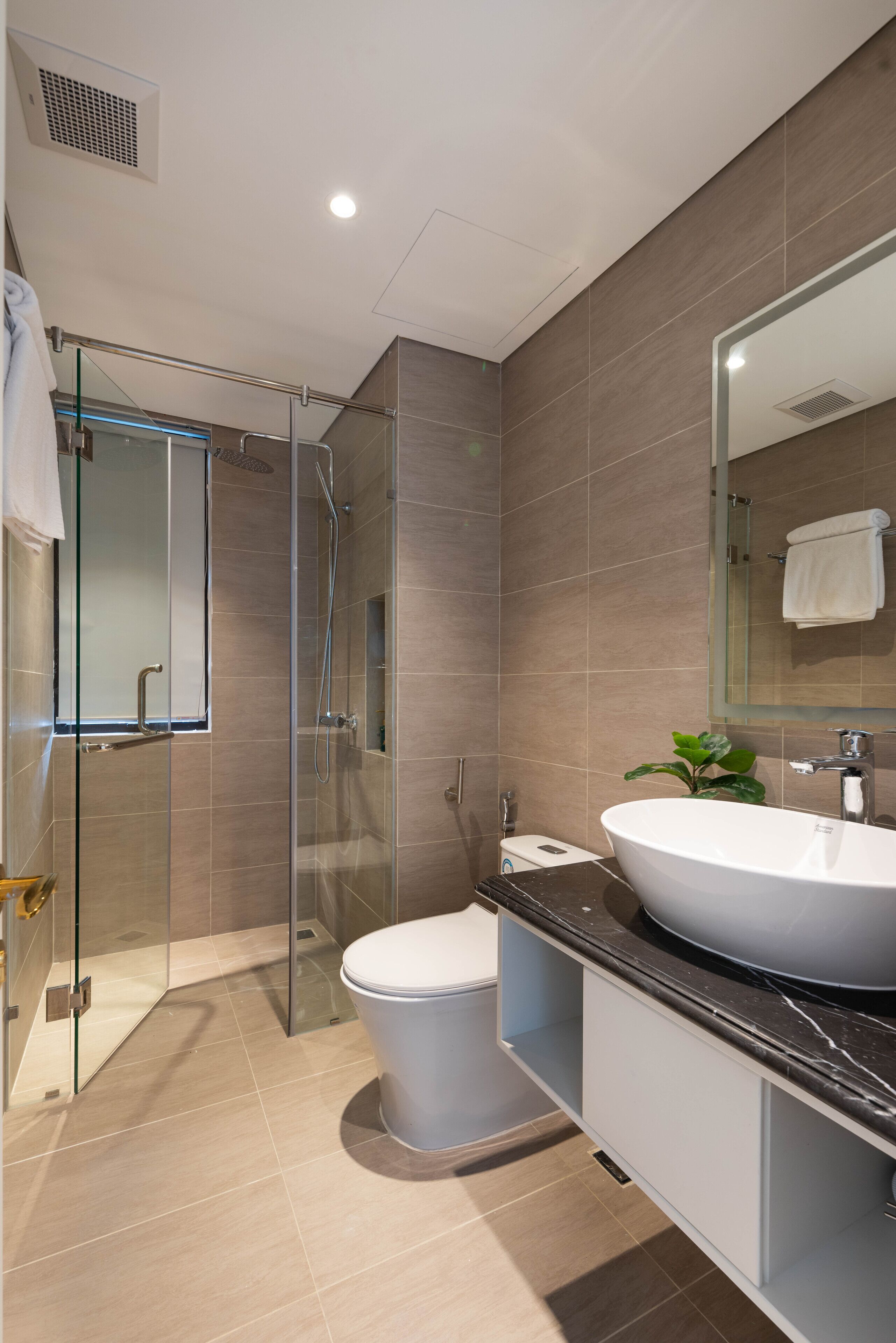 A modern bathroom with a glass-enclosed shower, a white toilet, and a large mirror above a sink with a plant.