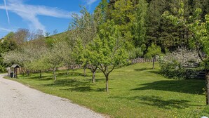 A gravel path leading through a park with trees and a wooden structure.