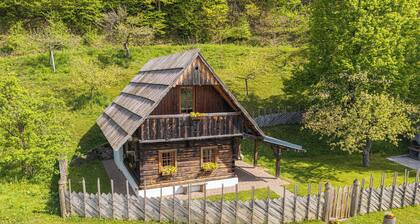 Chalet Jurij & Lena embraced by nature, Slovenj Gradec, Slovenia
