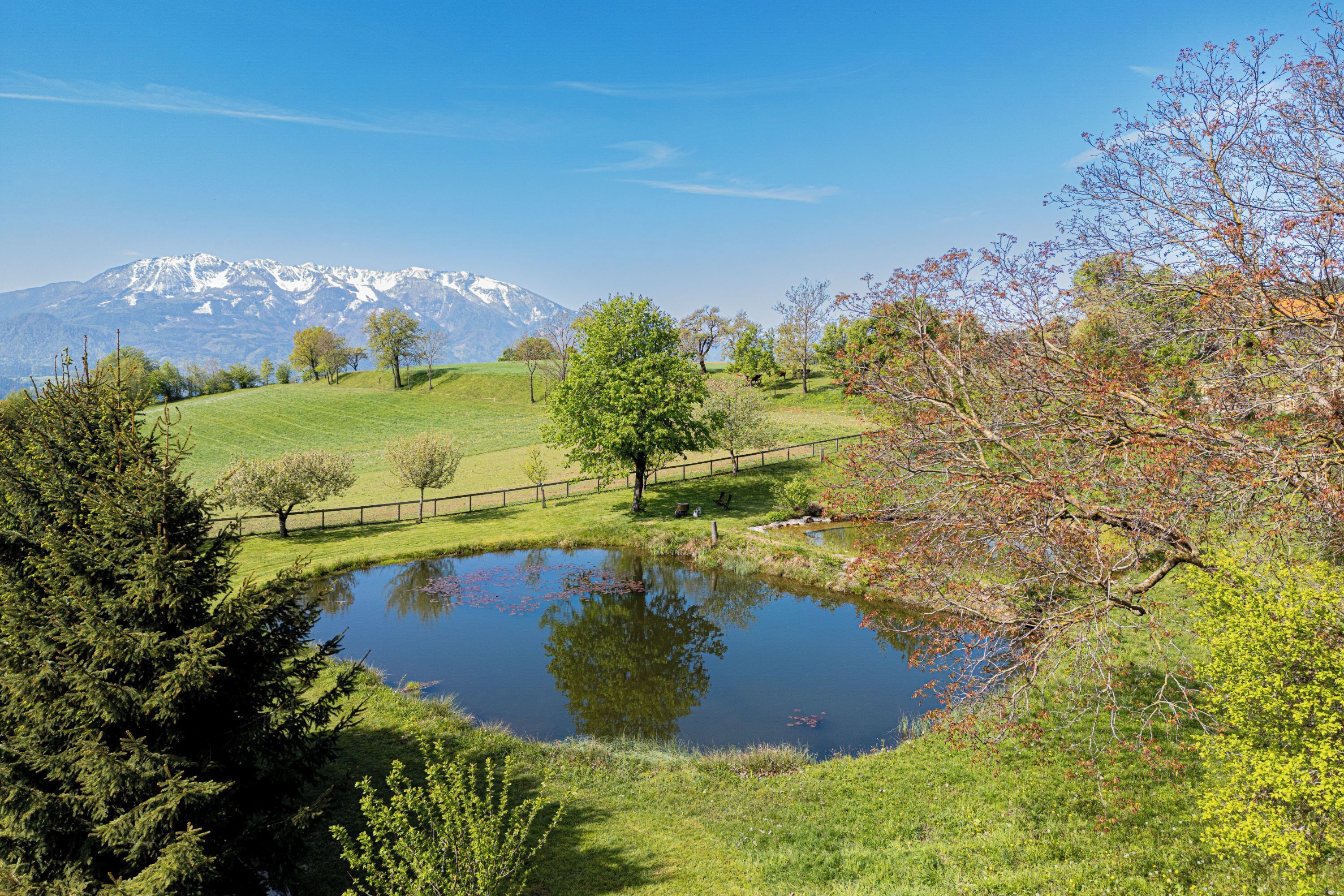 Eine friedliche Landschaft mit einem Teich, Bäumen und einem Berg im Hintergrund.