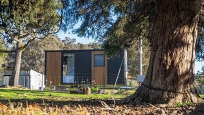 A modern building with a large window, surrounded by trees and a grassy area. - Sparkling Tiny House by Tiny Away (Windeyer)