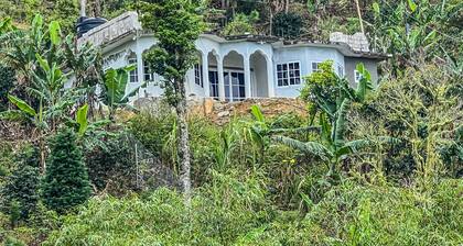 O-T on the rise Bed and Breakfast, three miles away from the Blue Mountain Peak.