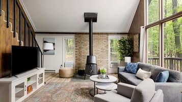 TV, fireplace, books, stereo