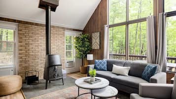 TV, fireplace, books, stereo