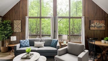 TV, fireplace, books, stereo