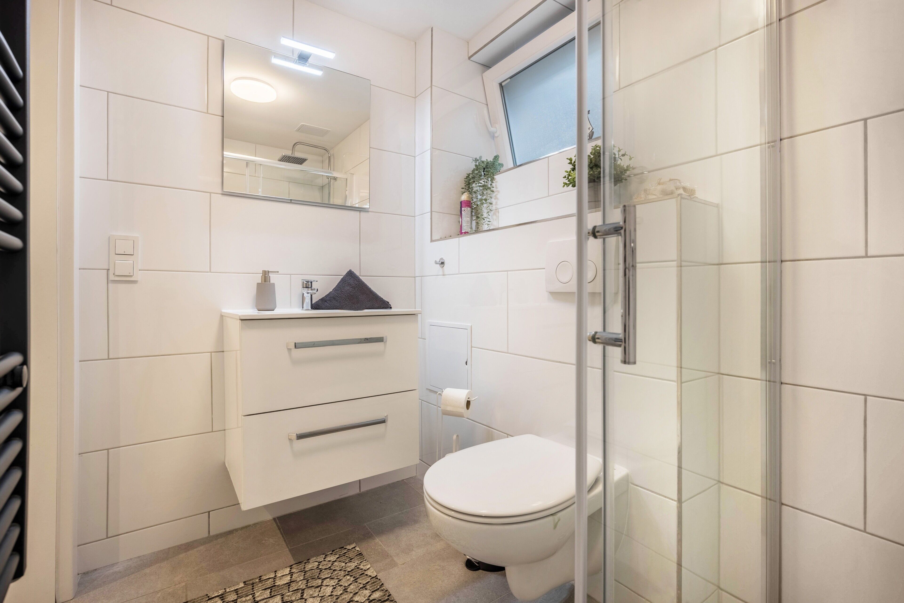 Shower, hair dryer, towels