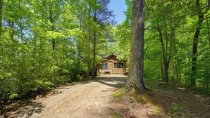 Eine Holzhütte in einem Wald, ein Feldweg führt dorthin.
