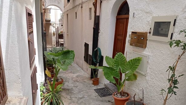 Un callejón estrecho con plantas en macetas y una puerta.