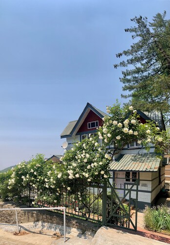 Artistic 3 bedroom Cottage at Mashobra Shimla 