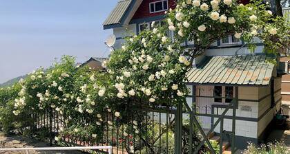 Artistic 3 bedroom Cottage at Mashobra Shimla