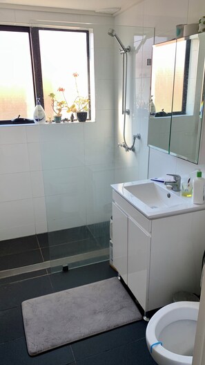 Dusche, Haartrockner, Handtücher, Seife