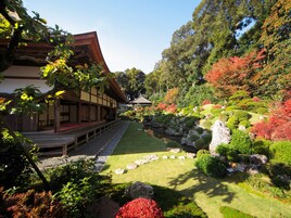 City view from property