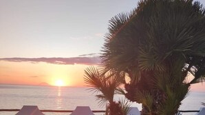 A sunset view with a palm tree in the foreground and a tented area in the background. - Residenza Stefanelli (Torre Marino, Capo Vaticano)