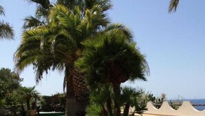 A sunny outdoor area with a pool, palm trees, and a slide. - Residenza Stefanelli (Torre Marino, Capo Vaticano)