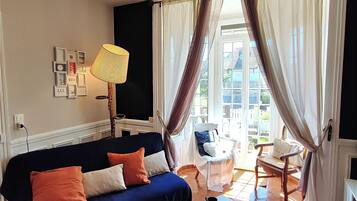 TV, fireplace, books