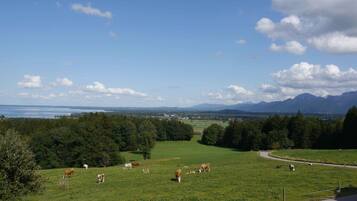 Ländliche Landschaft mit Blick auf Berge und ein Gewässer in der Ferne.