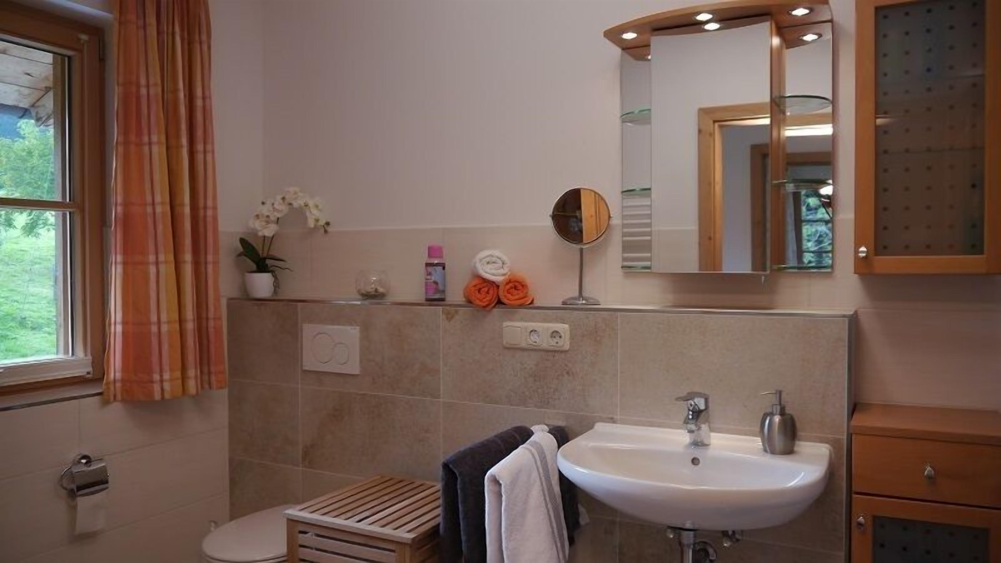 A bathroom with a sink, mirror, and toilet. There are towels and a potted plant on the counter.