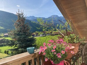 Property grounds - Ferienwohnung Kampenwinkel 68 qm, Schlafzimmer, Wohn-/schlafzimmer, Südbalkon (Aschau im Chiemgau)