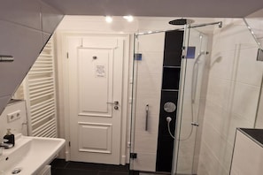 Shower, hair dryer
