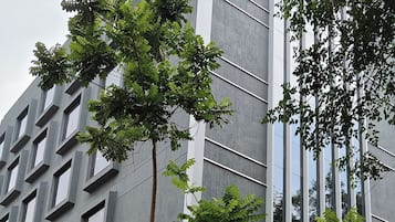 外觀