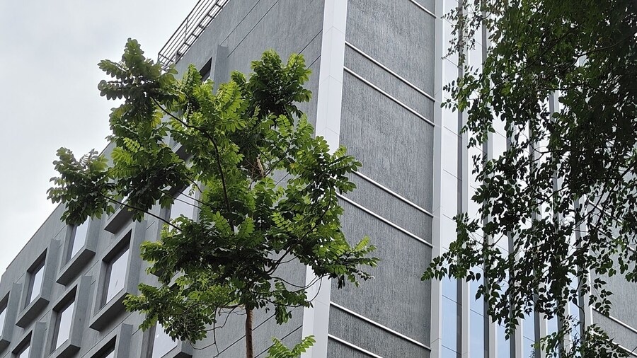 Magnus Nexstar Suites