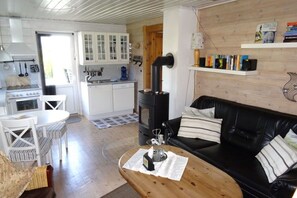 Smart TV, fireplace, books, stereo