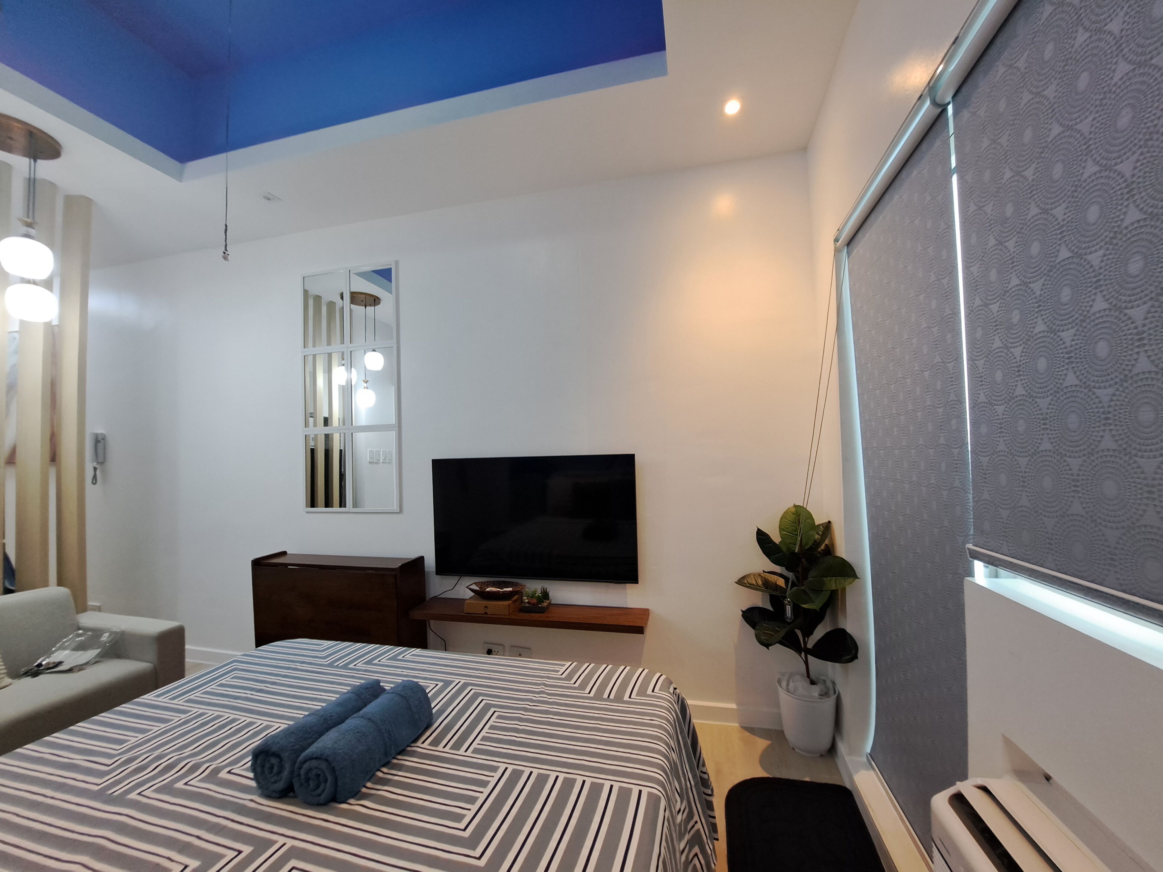 A modern bedroom with a bed, a TV, a mirror, a plant, and a window with blinds.