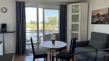 TV, fireplace, DVD player