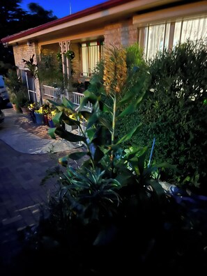 Property grounds - Rooms (ensuite and shared) opposite John Hunter Hospital (New Lambton Heights)