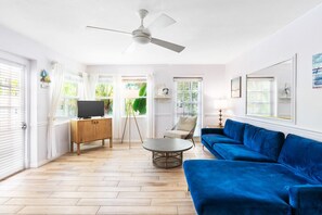 Smart TV, books, video library, stereo