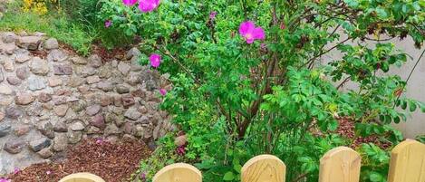 Overnatningsstedets område