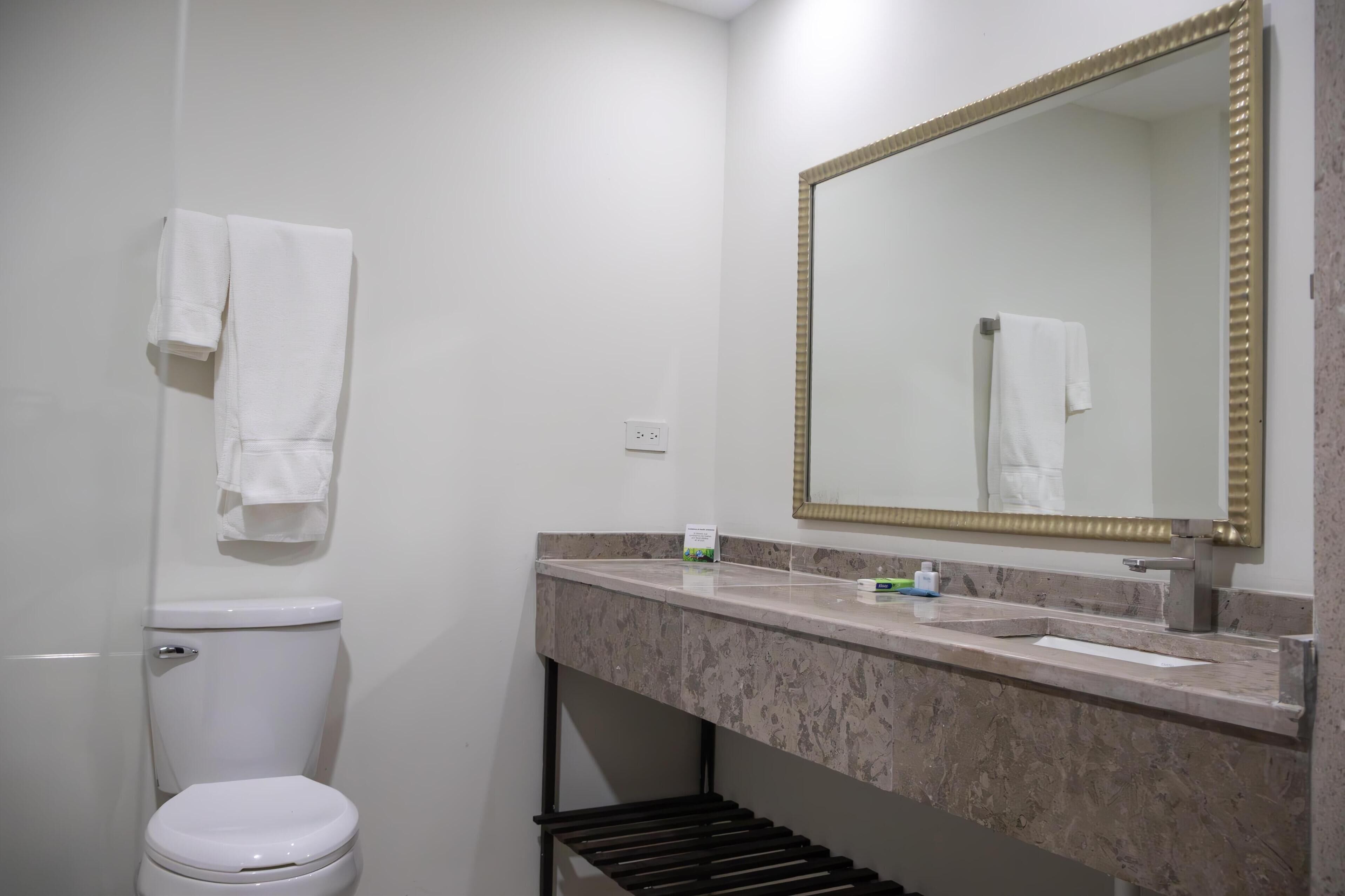Une salle de bain équipée d’un WC, d’un lavabo, d’un miroir et d’un porte-serviettes.