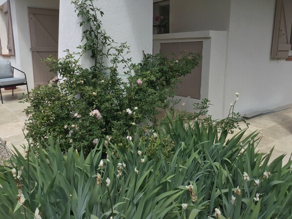 Property grounds - Romarin, un Appartement T3 Climatisé, Tout Confort, au Cœur de la Provence (Lorgues)