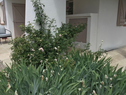 Romarin, un Appartement T3 Climatisé, Tout Confort, au Cœur de la Provence