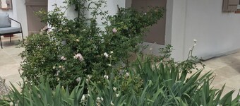 Romarin, un Appartement T3 Climatisé, Tout Confort, au Cœur de la Provence