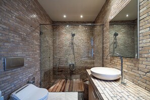 Shower, hair dryer, bidet, towels