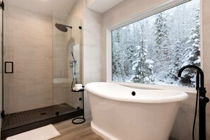 Shower, hair dryer, towels, shampoo