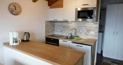 Ferienwohnung Bellwald für 1 - 4 Personen mit 2 Schlafzimmern - Ferienwohnung