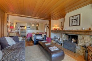 Smart TV, fireplace, DVD player, computer monitors