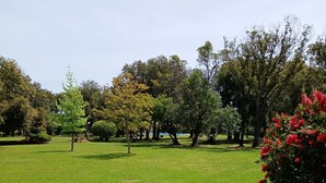 A park with a well-maintained lawn, various trees, and a bush with red flowers. - Vacations in Corsica (Santa-Maria-Poggio)