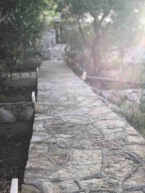 A stone pathway leading through a garden with a stone wall on one side and trees on the other. - Seafront House Antonia (Rogoznica)