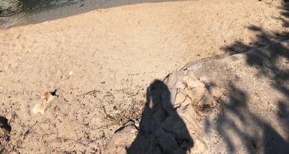 Seafront House Antonia