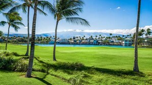 A golf course with a large pool, palm trees, and a view of a resort area with buildings.