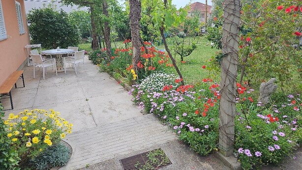 Apartemen (Apartments Amalia - Two Bedroom Apart) | Taman