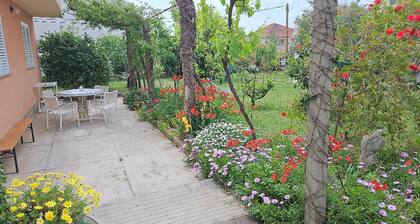Apartments Amalia