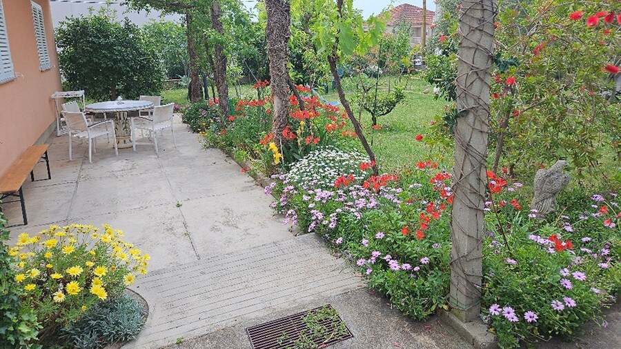 Apartments Amalia