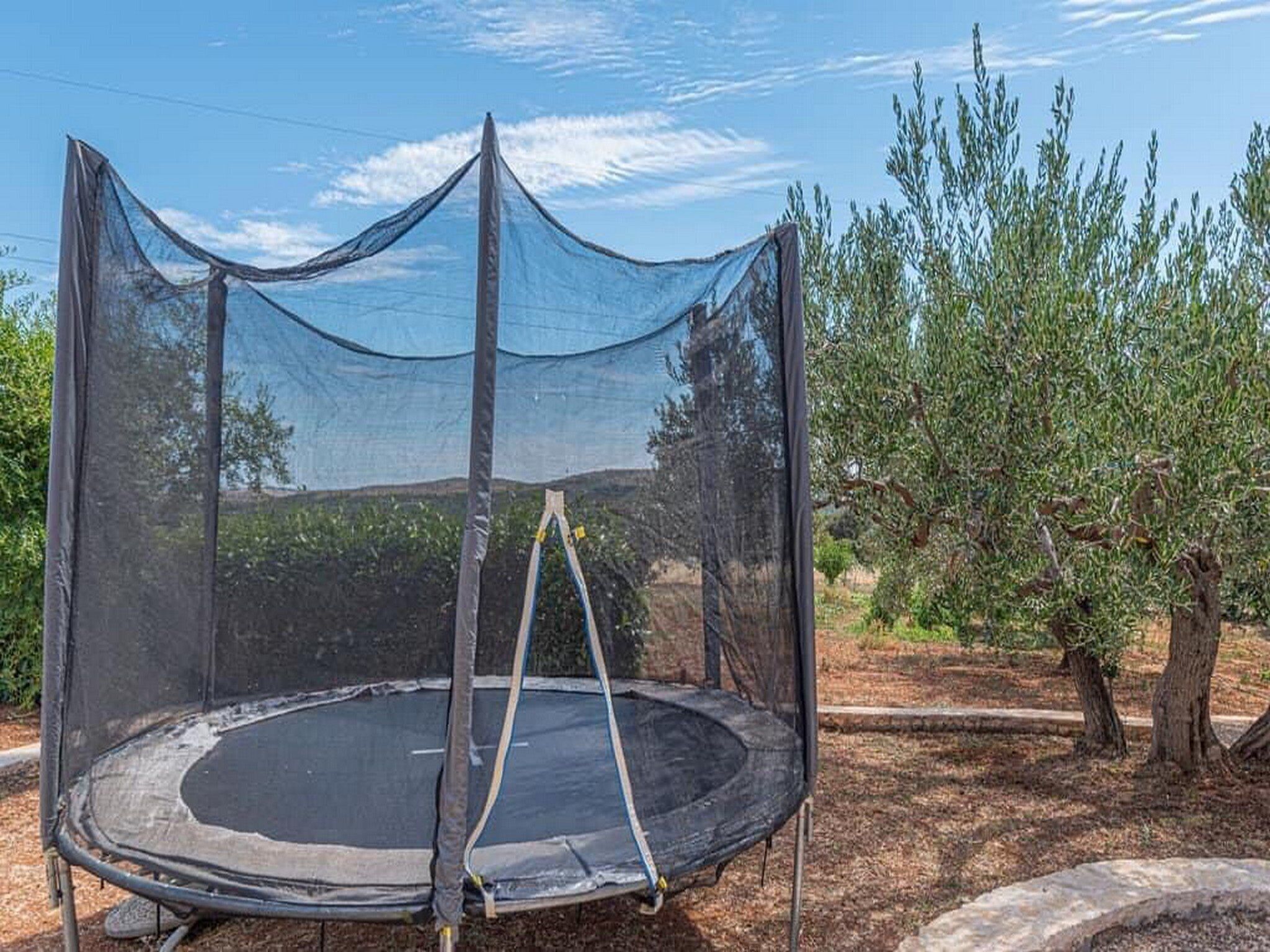 A trampoline with a safety net enclosure in a landscaped outdoor area with trees.