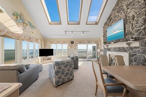 TV, fireplace, books