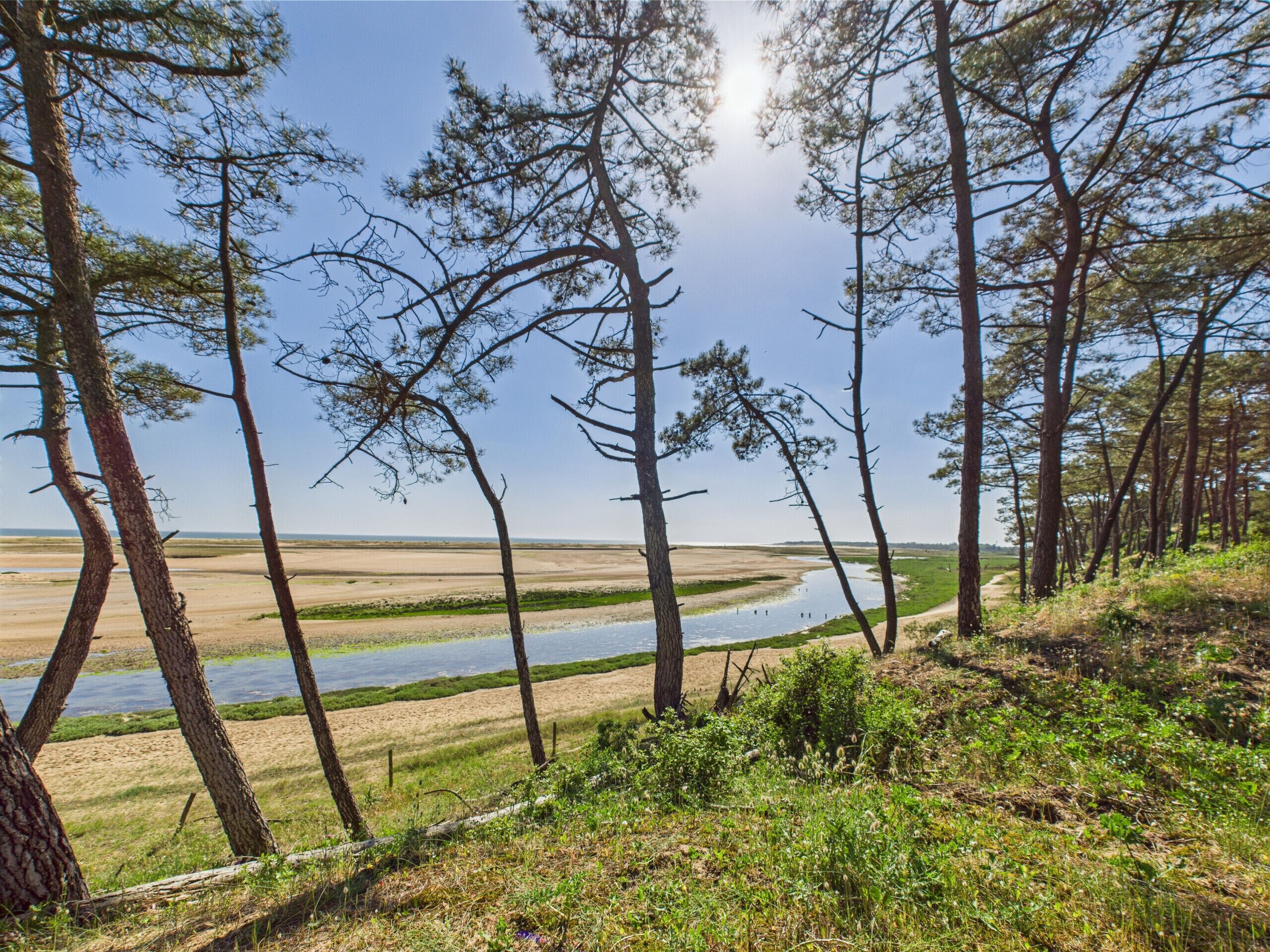 Een natuurlandschap met een rivier, bomen en een heldere lucht.