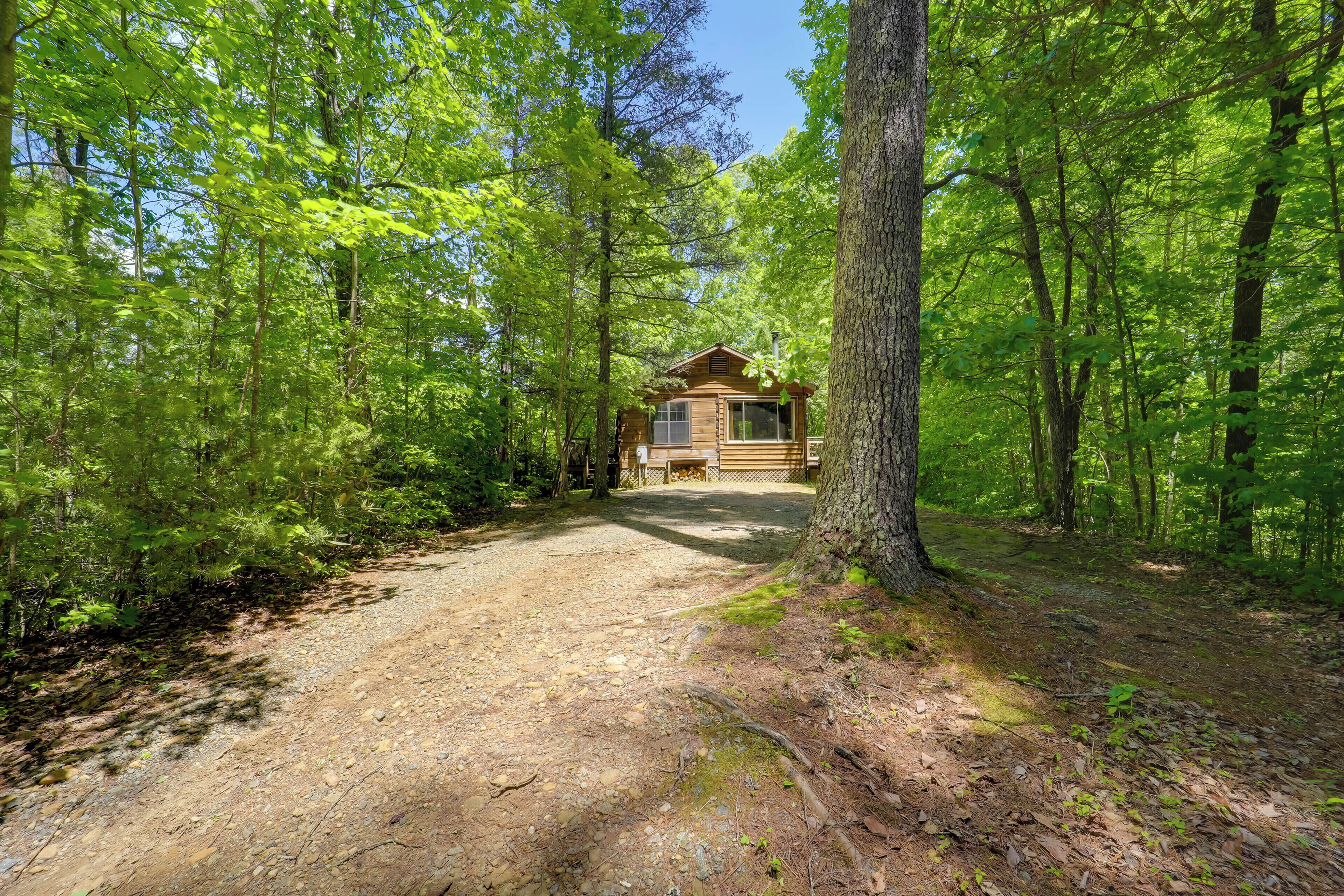 House (1 Bedroom) | Interior